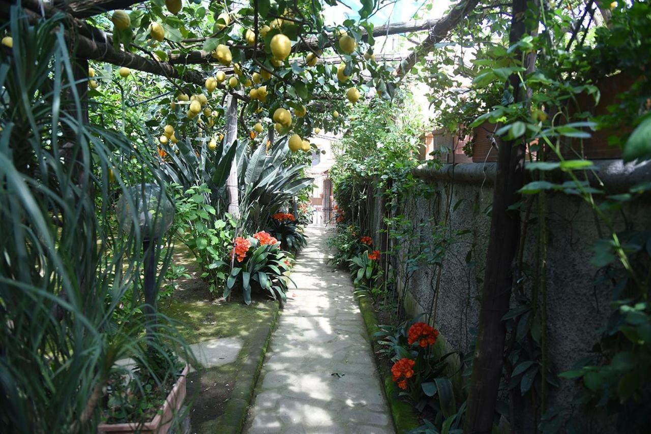 Bed and Breakfast Anthea Sorrent Exterior foto