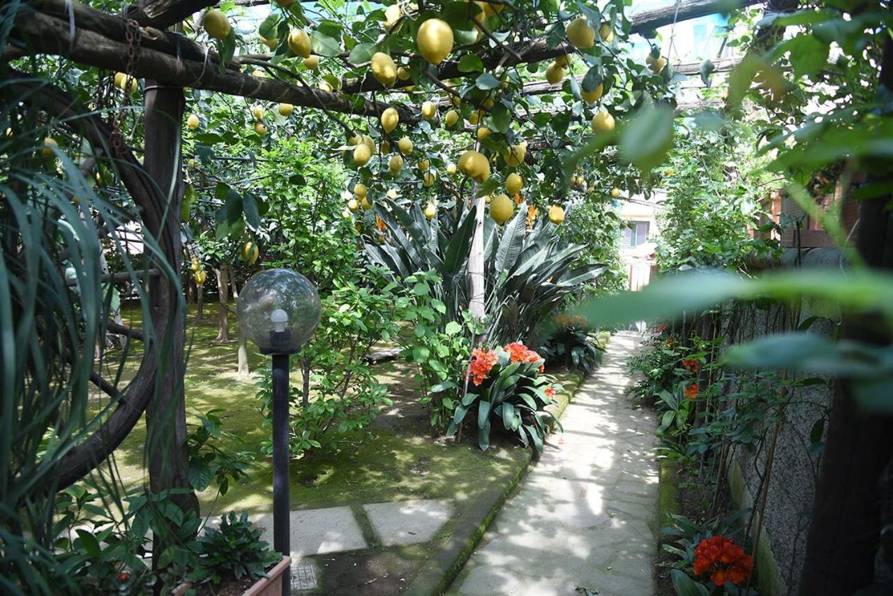 Bed and Breakfast Anthea Sorrent Exterior foto